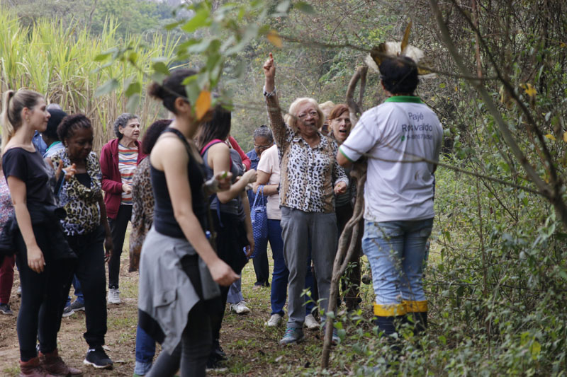 Foto: Conclusão do Programa Bacia Caipira 2022 - Sítio Nossa Senhora Aparecida - Santa Bárbara d'Oeste