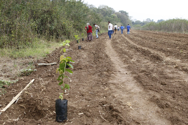 Foto: Conclusão do Programa Bacia Caipira 2022 - Sítio Nossa Senhora Aparecida - Santa Bárbara d'Oeste