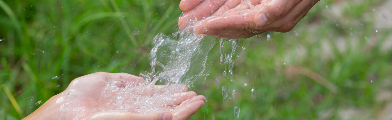 Agua